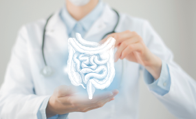 Neue Studie zeigt, dass Vitamin D das Immunsystem über den Darm unterstützt