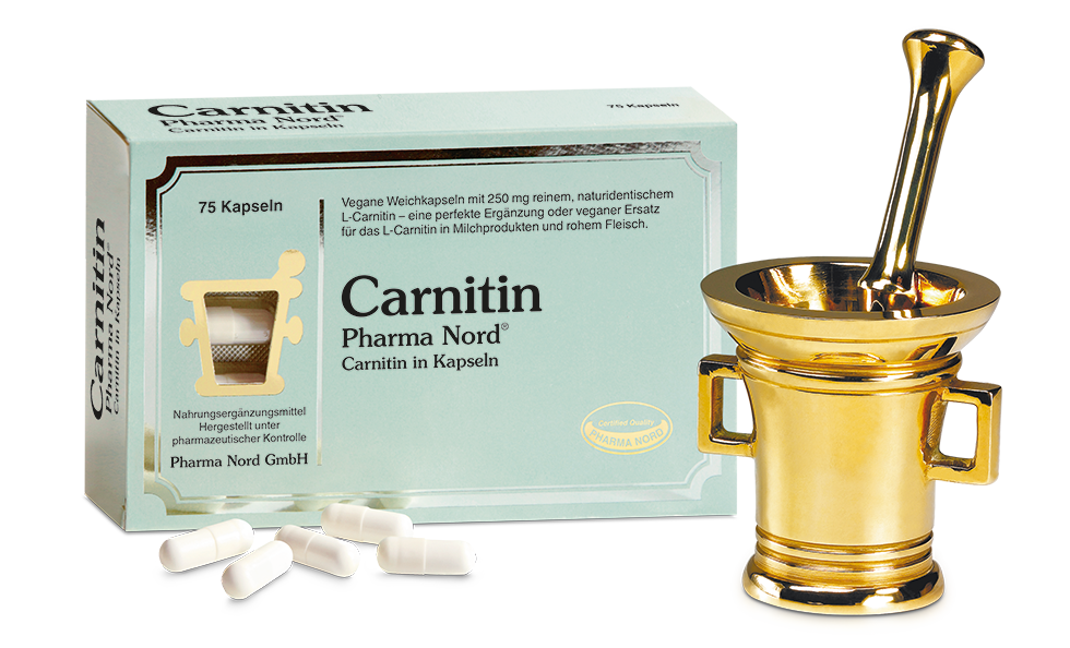 Carnitin mit pflanzlicher Aminosäure vor allem für Veganer