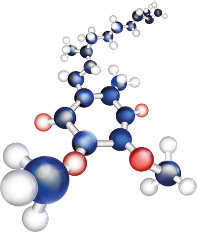 Q10 Moleküle