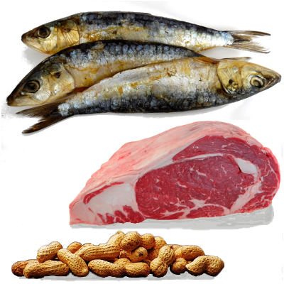 Sardinen, Rindfleisch, Erdnüsse